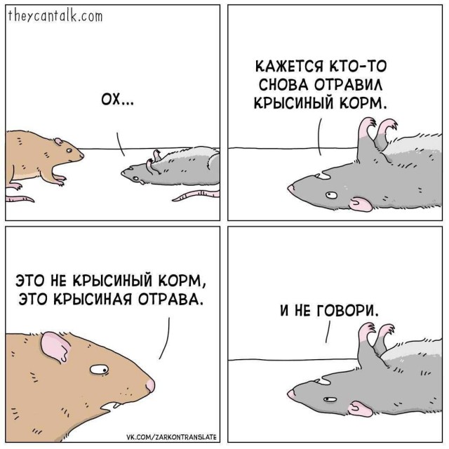 Никакие картинки