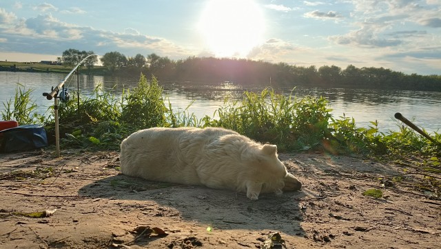 Вазузское водохранилище