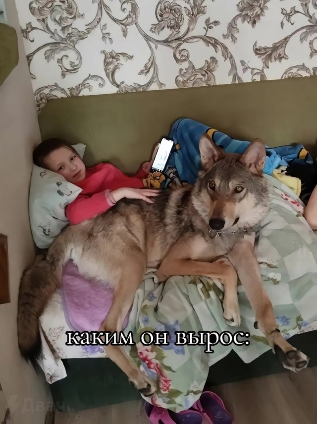 Плюс верный друг, минус бочок