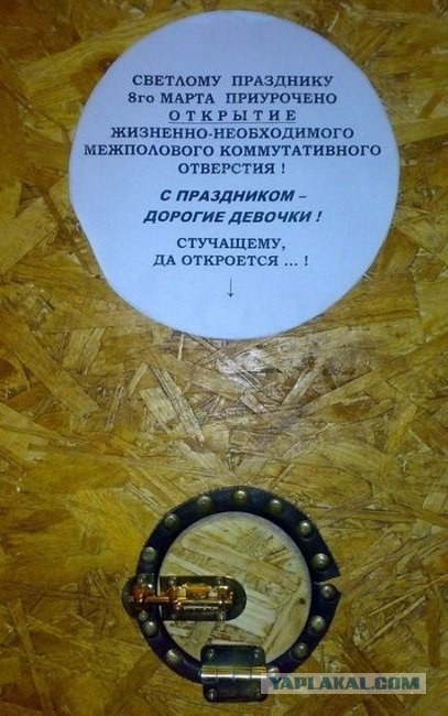Межполовой коммуникатор (2 фото)