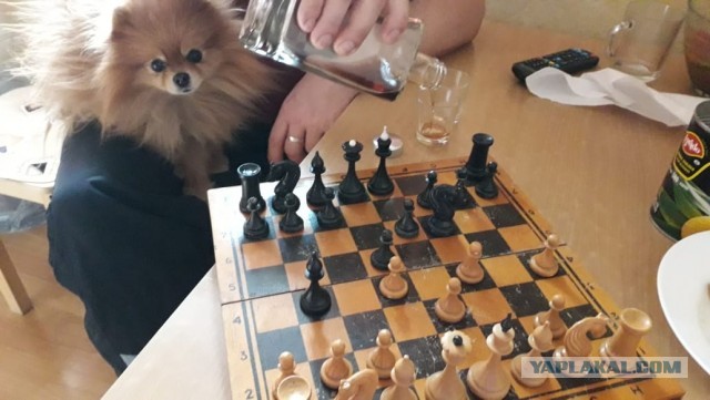 Всё правильно сделал