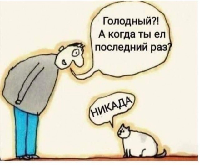 Пятничное улыбательное.