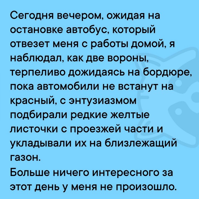 Так себе картинки 25.11.24