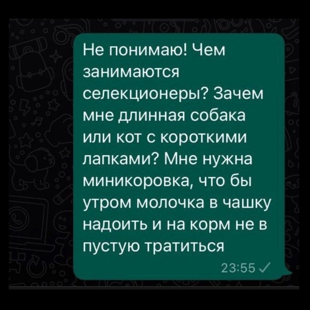 Весёлый полтишок 10.12.24