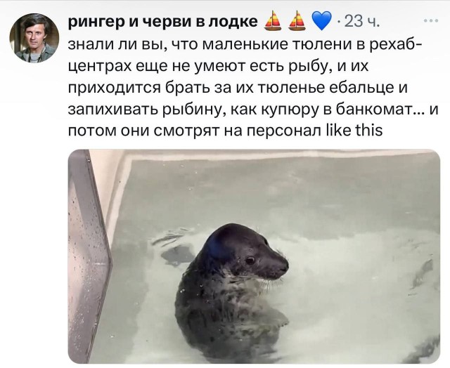 Всего понемногу. От 05.01.2025