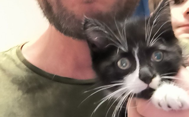 Котейка точит осётра