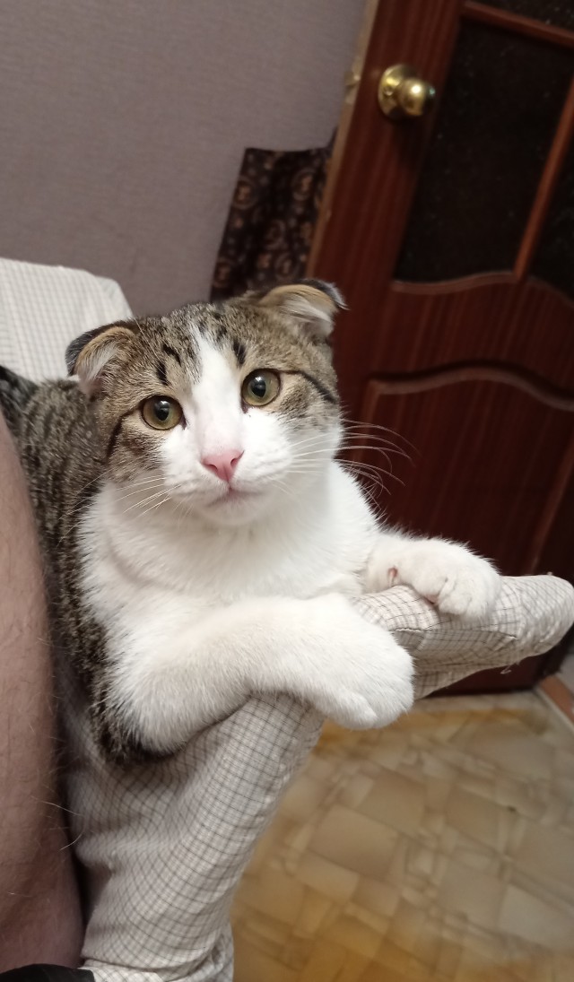 Косоглазый Смайлик