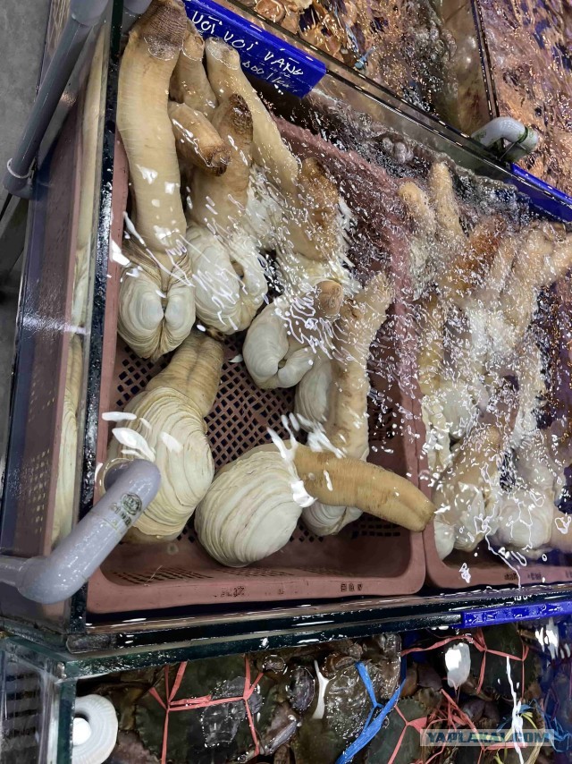 Вьетнам. ДаНанг. Прогулка, вкусняши.