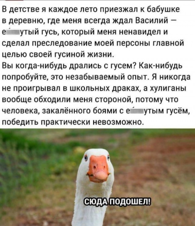 Маленькая пятница 28.05