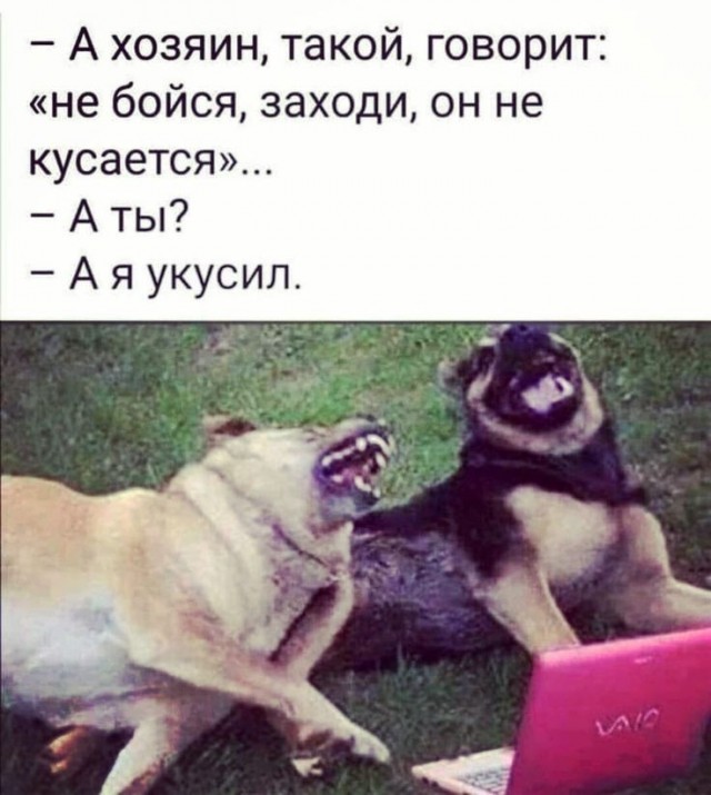 Добрая история