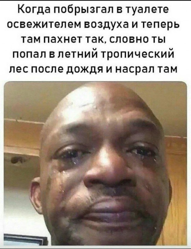 Веселые картинки в понедельник (04.08)