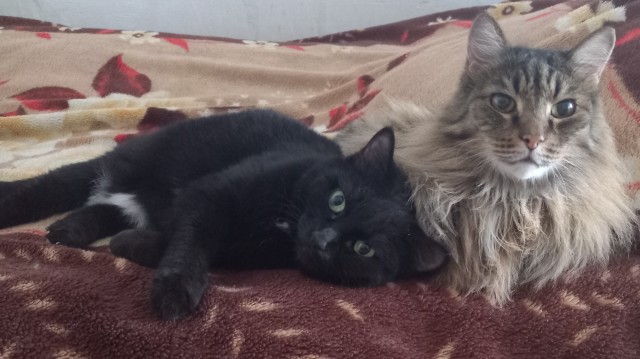 Его первый вторник