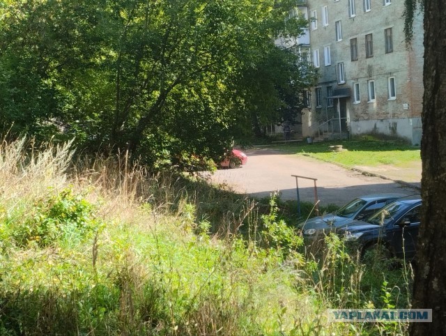 Какой смысл косить траву осенью?