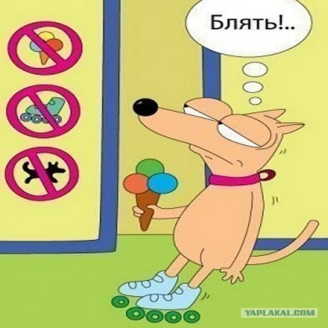Вход с собаками в магазины, общепиты и аптеки может быть запрещён