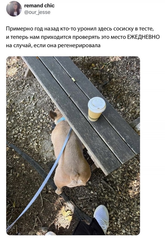 Он помнит⁠⁠