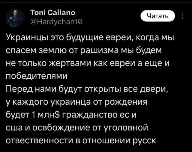 Лысый гонит новую пургу