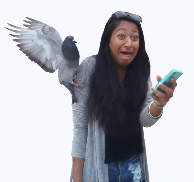 Фотожаба. Лубоффъ и голуби.