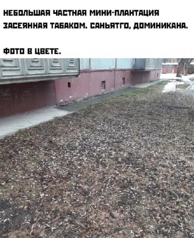 Картиночки, баянчики 15 декабря