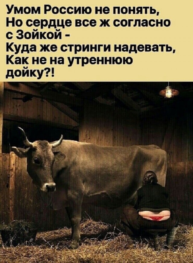 Так себе картинки 21.12.25