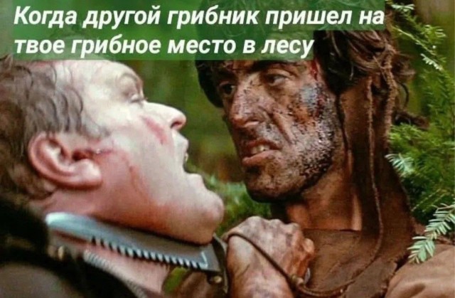 Среды картинки