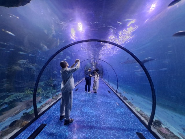 Дубайск в декабре