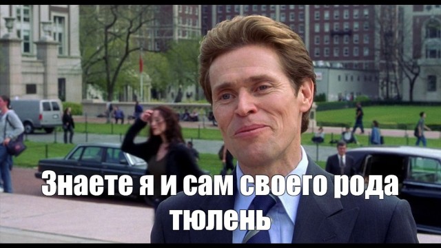 Зачем ластоногие (тюлени) хлопают себя по животу?