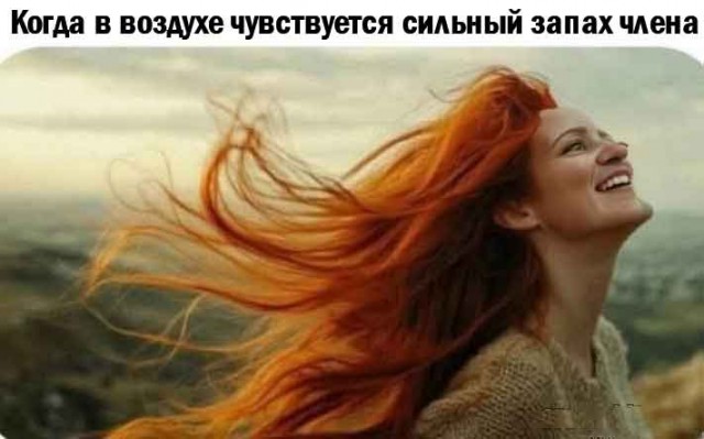 Забавные и не очень скромные картинки - 26