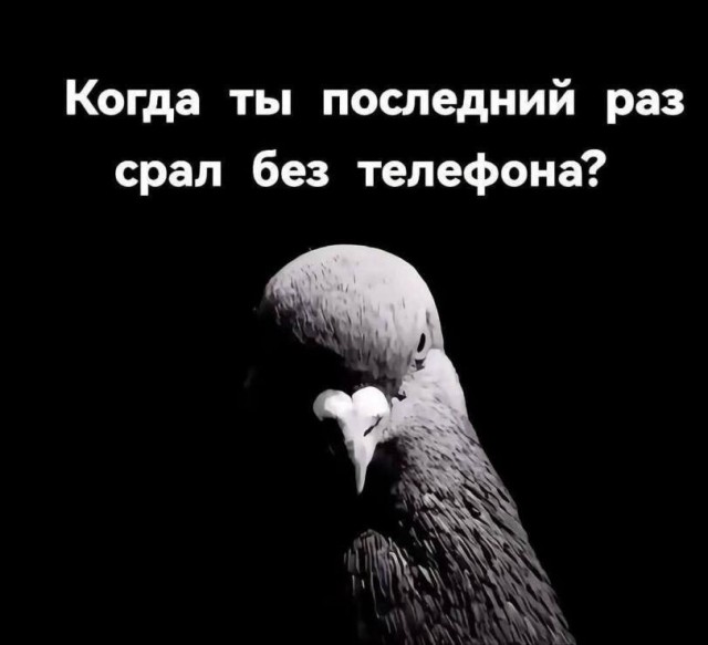 Картинки для деградации 158 (разной степени свежести)