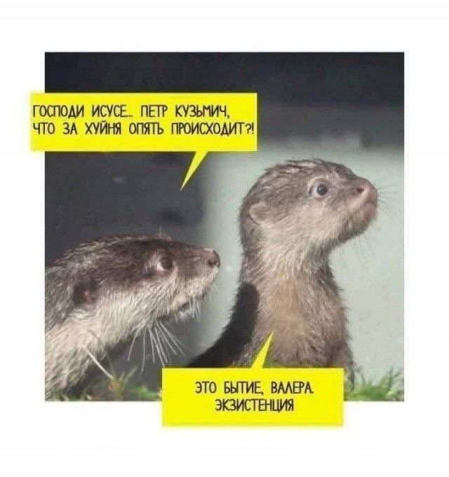Картинки для деградации 177 (разной степени свежести)