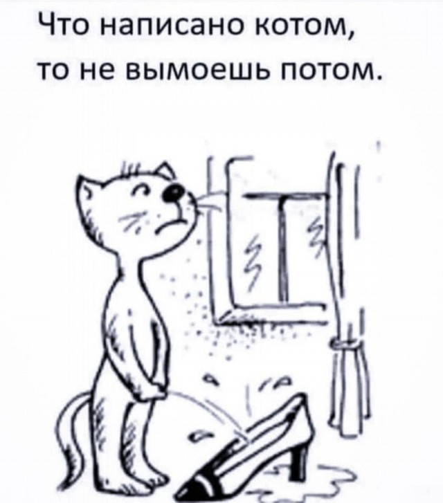 Субботние картинки