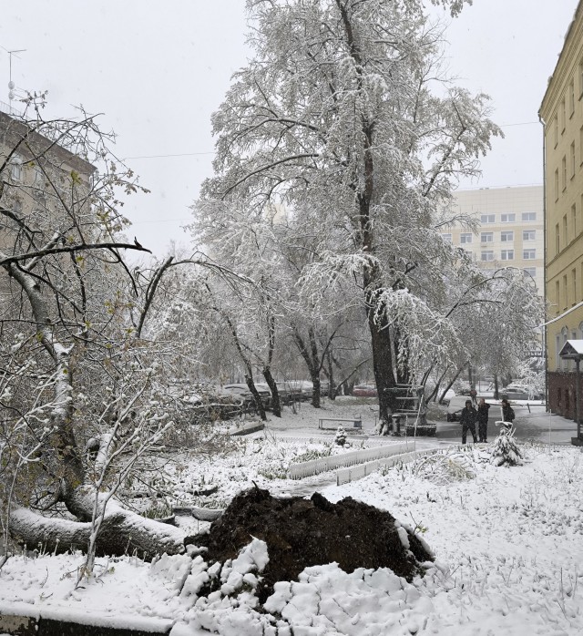 Утро в Москве
