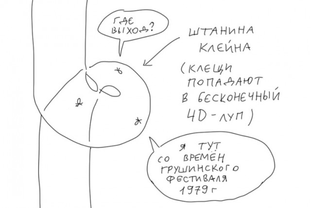 Как обезопасить себя от клещей?⁠