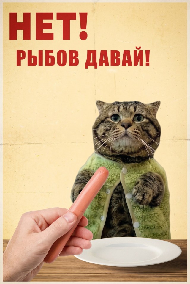 Фотожаба: Грустный котик