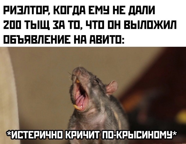 Веселые картинки в понедельник (08.06)