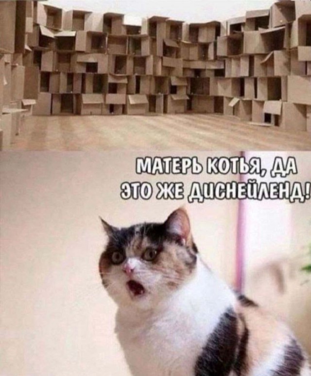 Так себе картинки 21.06.26