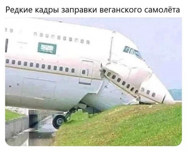 Картинки для деградации 225 (разной степени свежести)