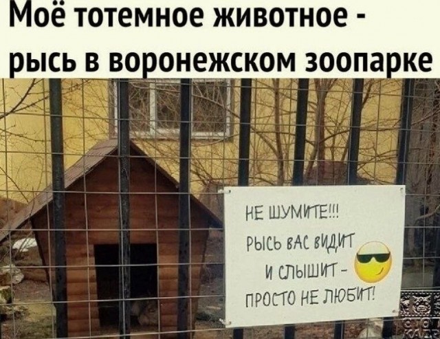 забавные картинки, шутки из этих ваших интернетов