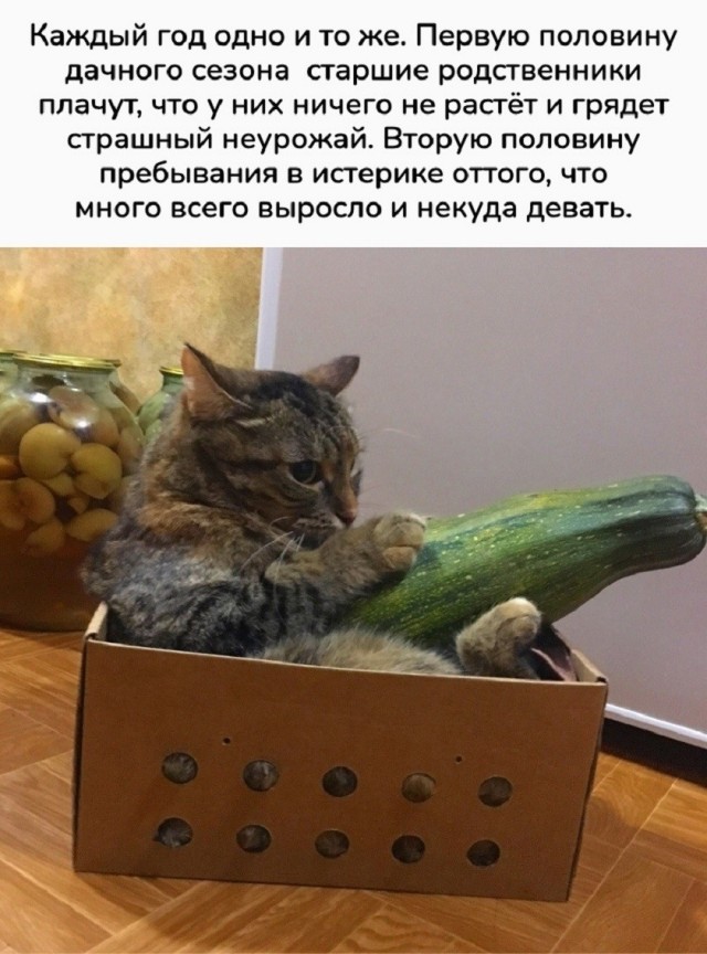 Так себе картинки 24.07.26