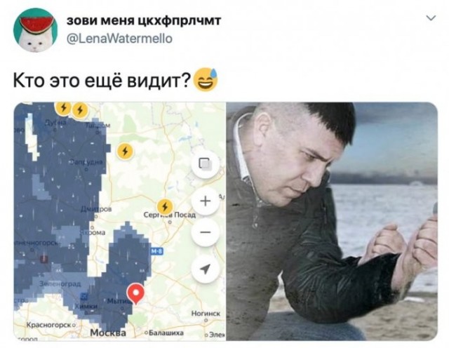 Веселые картинки в понедельник (17.08)