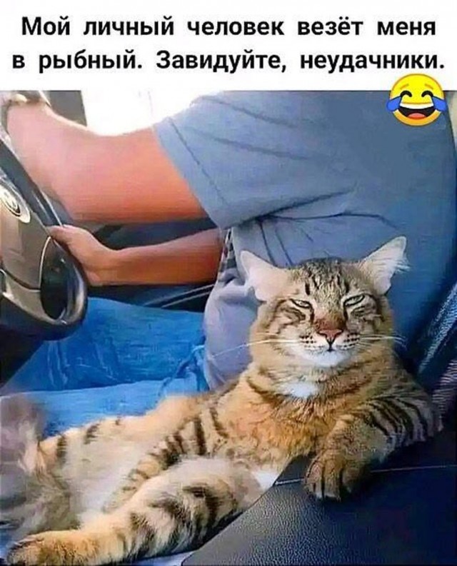 Прикольные и просто красивые картинки 01.09.2026