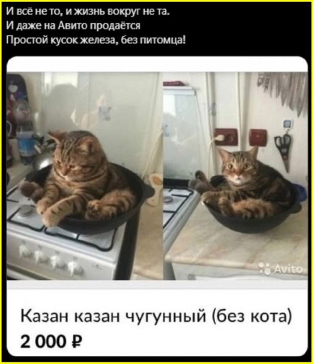 тРРРидцать тРРРи от 6 октября