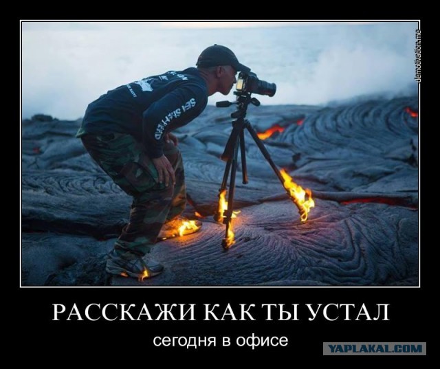 Необычный офис: Чтоб я так работал!