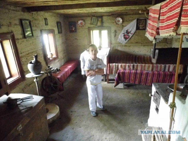 В Карпатах