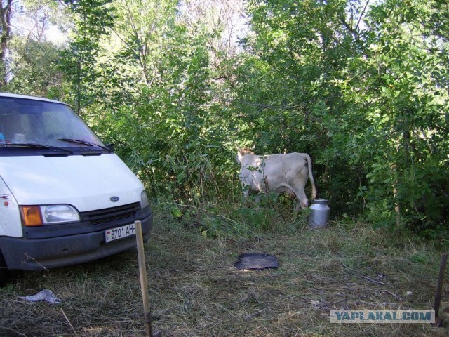Отдых на Ахтубе. Автотуристам-рыбакам посвящается.