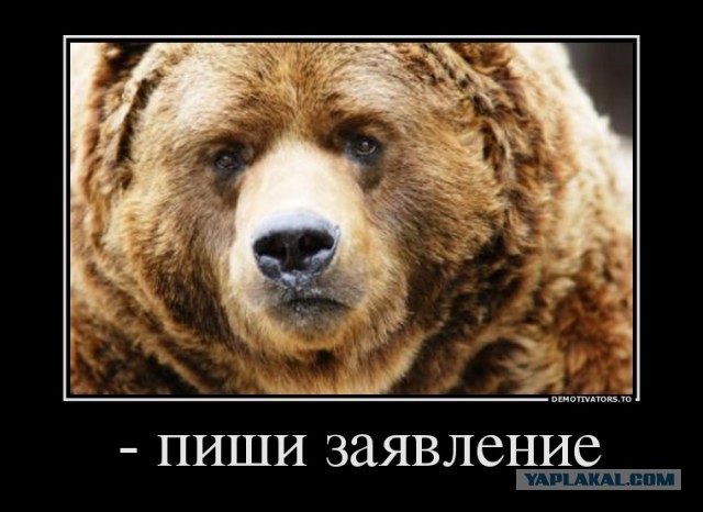 Дело ясное – я согласная.