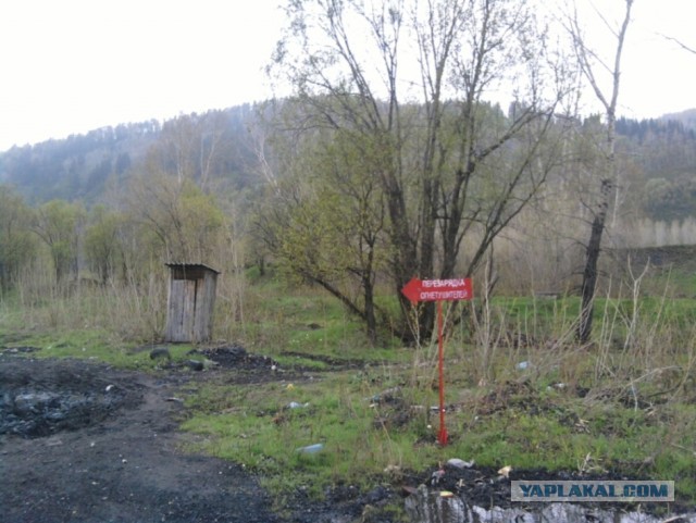 Картинки, объявления - 2