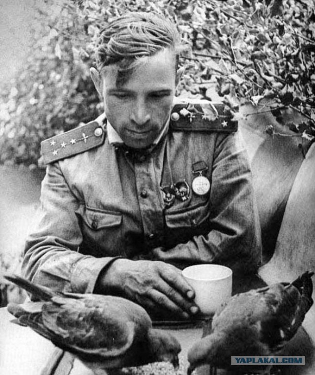 Самая знаменитая фотография солдата ВОВ