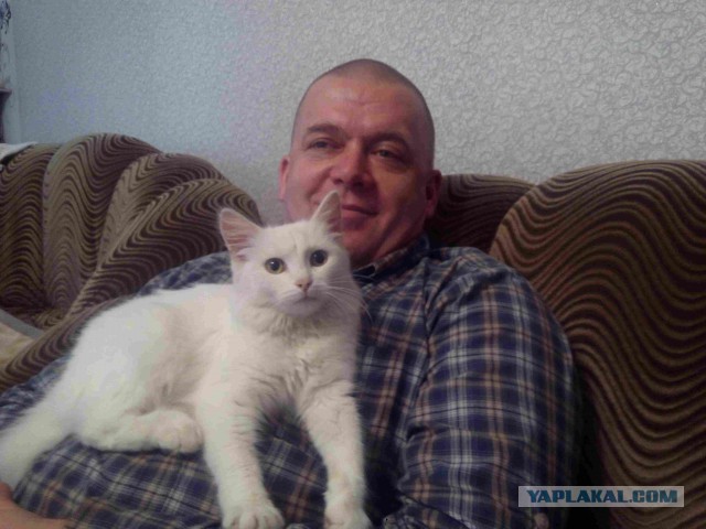 Котовторник 25.11.2014