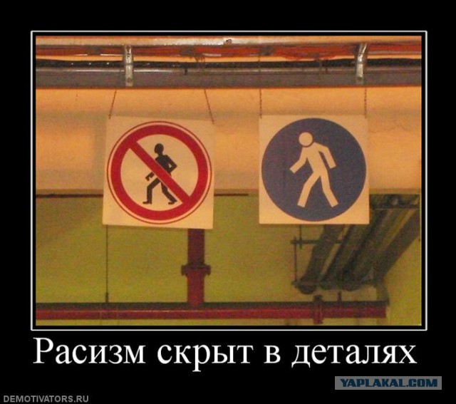 Весёлое из сети