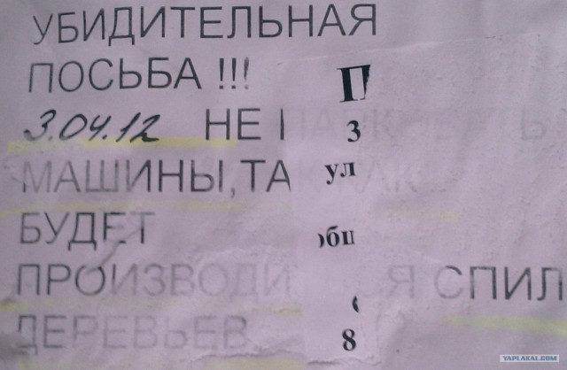 Реформа образования удалась!